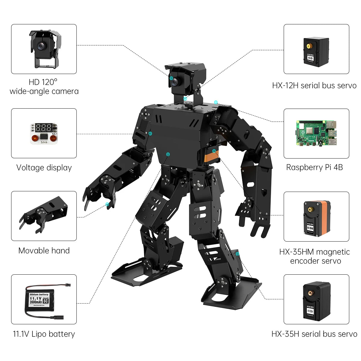 AiNex – Humanoidalny Robot Edukacyjny ROS z AI i Raspberry Pi 5