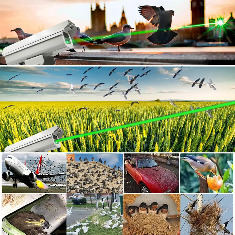 Laserowy Odstraszacz Ptaków z Timerem dla Magazynów i Zakładów - George Vision Premium