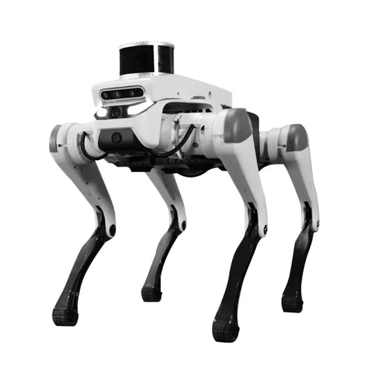 Professional Lite 3 — Robot Czworonożny do Edukacji i Badań - zdjęcie 3
