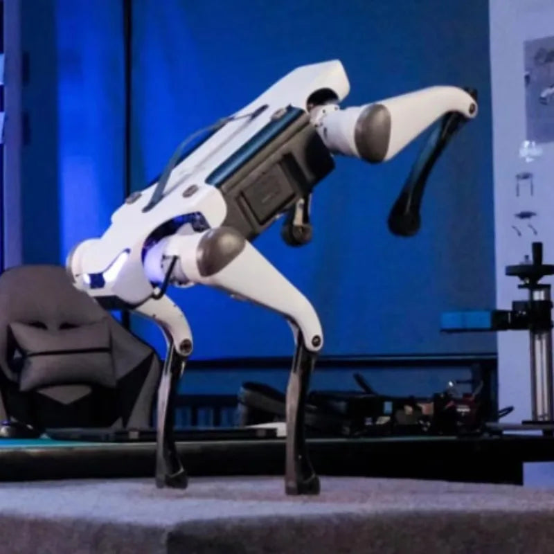 Professional Lite 3 — Robot Czworonożny do Edukacji i Badań - zdjęcie 5