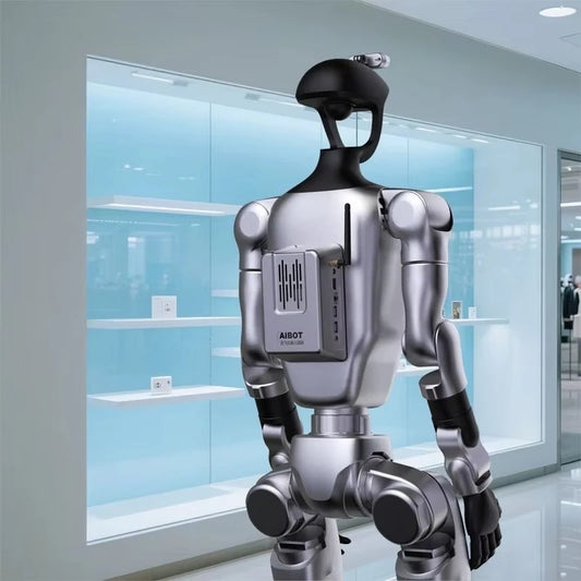 Robot Humanoidalny Programowalny z SDK Multimodalnym - Development Kit